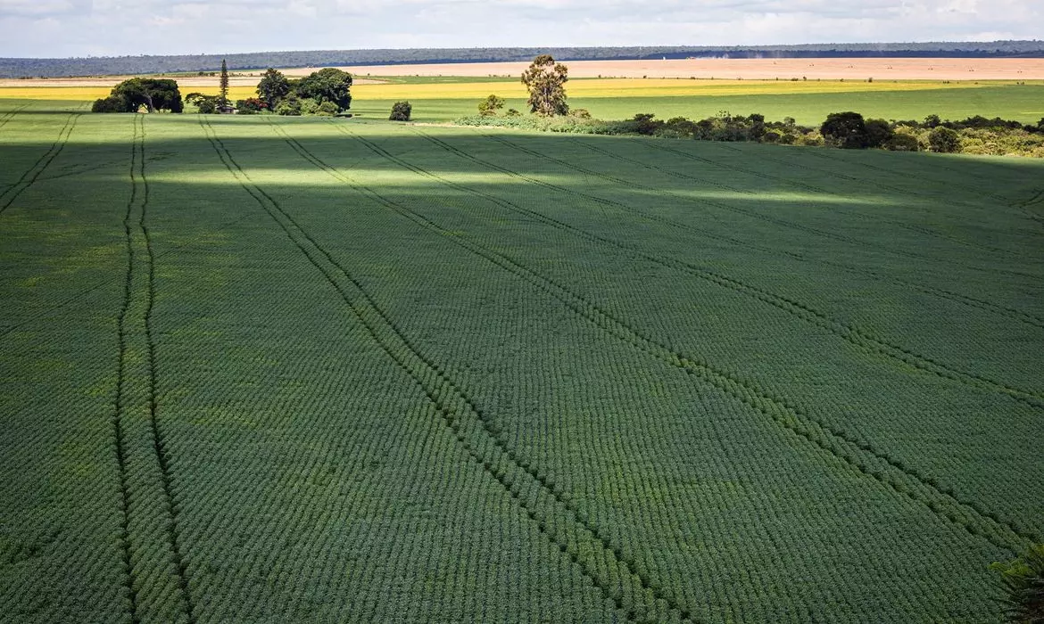 Estudo aponta desafios do seguro rural em meio a mudanças climáticas